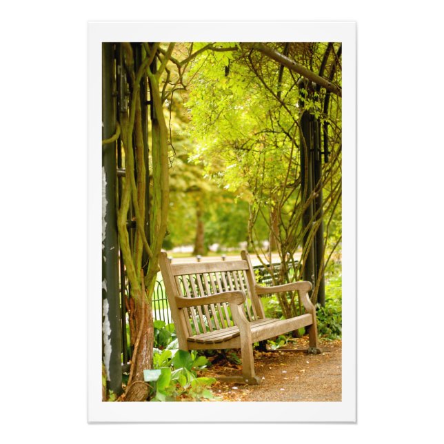 Hyde Park - Park Bench Photo Print (Front)