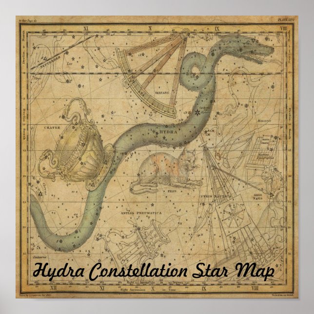 Hydra Constellation Star Map Vintage Astronomy Poster (Front)