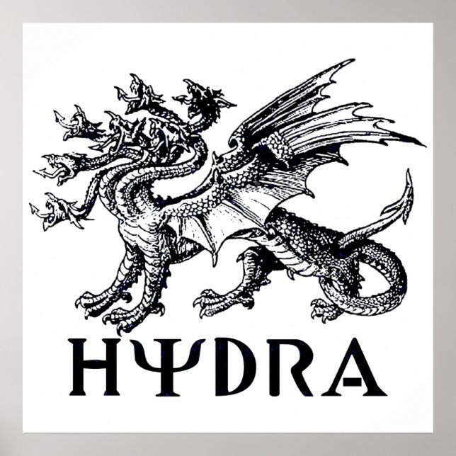 Hydra Poster (Front)