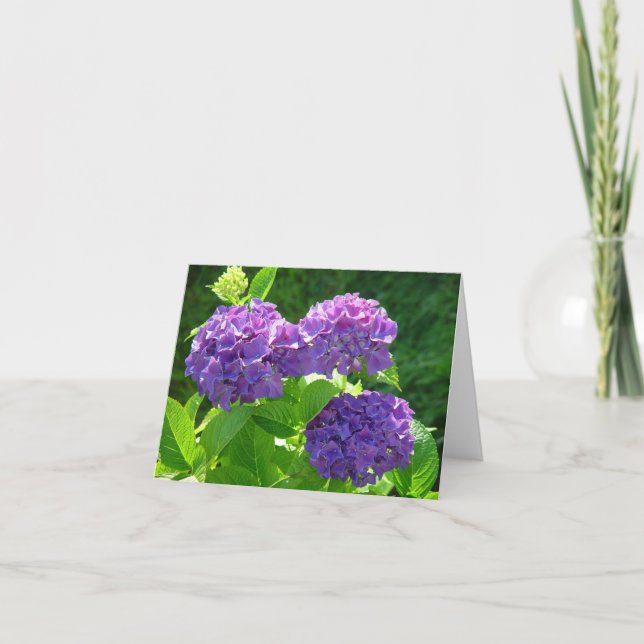 Hydrangea 2 card (Front)