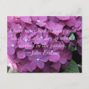 Hydrangea and Gardening Quote Postcard