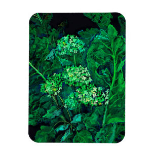 Hydrangea and Horseradish Floral Art Black & Green Magnet