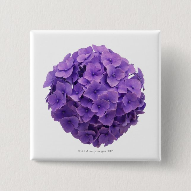 Hydrangea Ball Close-up 15 Cm Square Badge (Front)