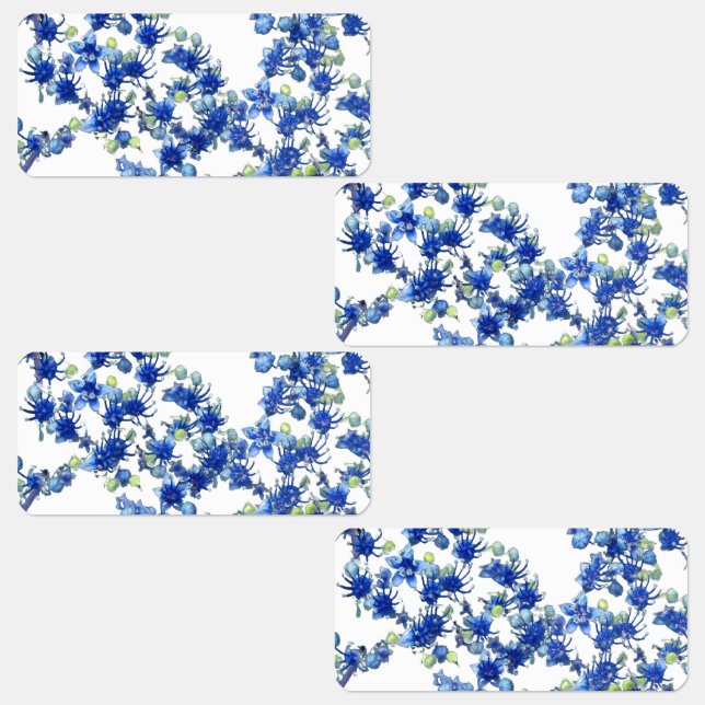 Hydrangea (BGC transparent) (Group)