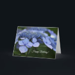 Hydrangea Birthday Card<br><div class="desc">Happy Birthday card with emerging Hydrangea blossoms. Original photography by Roberta Mislevy.</div>