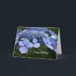 Hydrangea Birthday Card<br><div class="desc">Happy Birthday card with emerging Hydrangea blossoms. Original photography by Roberta Mislevy.</div>