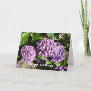 Hydrangea Birthday Greeting Card