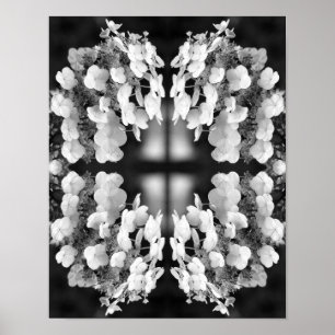 Hydrangea Black And White Mirror Floral Art Poster