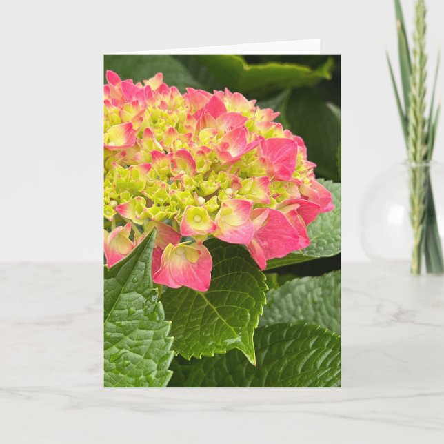 Hydrangea Blank Note Card (Front)