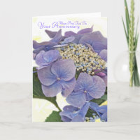 Hydrangea blauw, Mum And Dad On, Your Anniversary