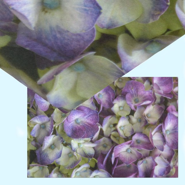 Hydrangea Botanical Floral Photographic Purple Tissue Paper (Creator Uploaded)