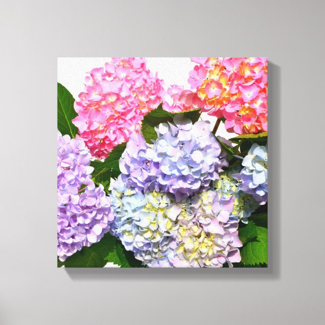 Hydrangea Bouquet Canvas Print (Front)