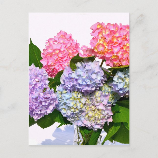 Hydrangea Bouquet Postcard (Front)