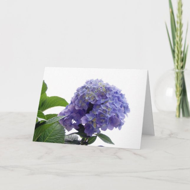 Hydrangea Bush Greeting Card (Front)