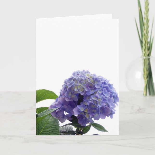 Hydrangea Bush Greeting Card (Front)