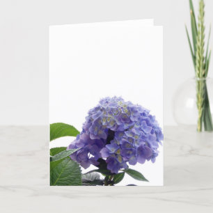 Hydrangea Bush Greeting Card