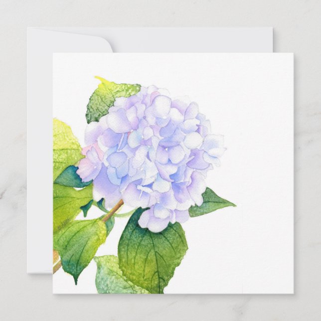 Hydrangea Card (Front)