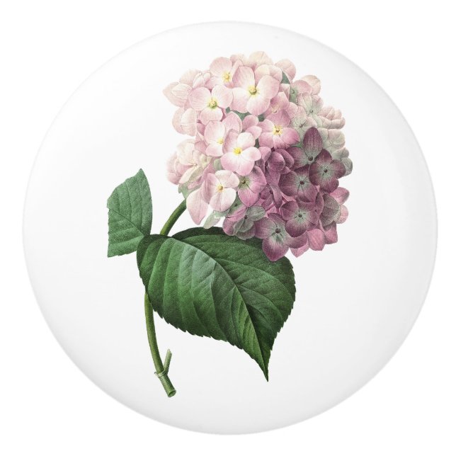 Hydrangea Ceramic Knob (Front)