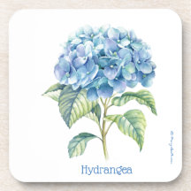 Hydrangea  coaster   (C) MaryLeeParker