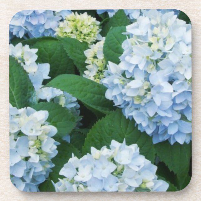 Hydrangea Coaster Set (Front)