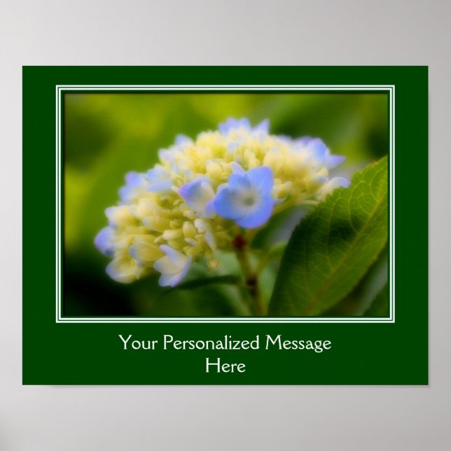 Hydrangea Flower Create Your Own Personalized Poster (Front)