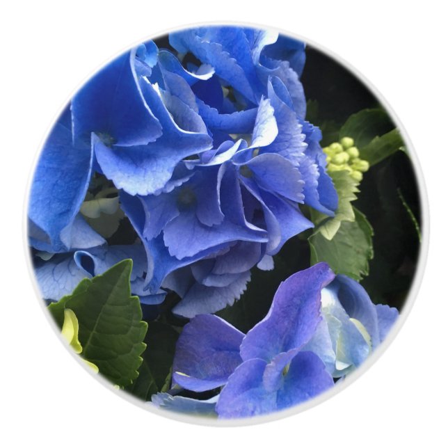 Hydrangea Flower Drawer Pulls Blue Purple & Green (Front)