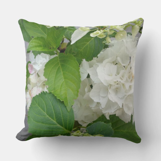 Hydrangea Flower Green White Nature Garden Plants Cushion (Front)