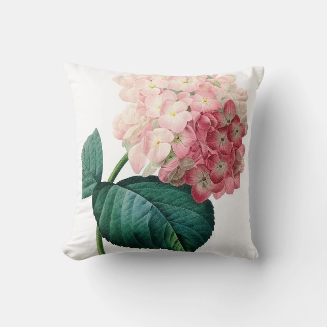 Hydrangea flower illustration Redoute Cushion (Front)