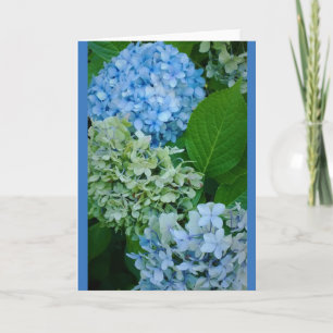 Hydrangea Flowers Card