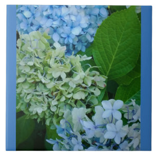 Hydrangea Flowers Ceramic Tile