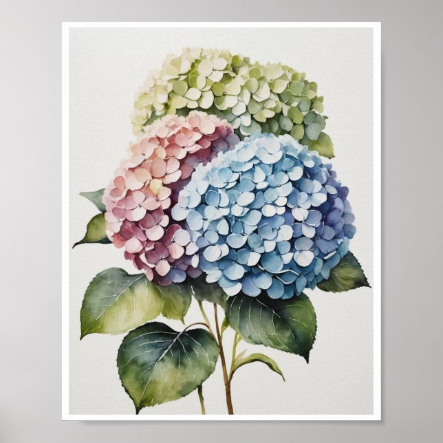 Hydrangea Flowers Handmade Poster Water colour  (Front)