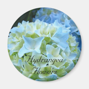 Hydrangea Flowers magnet Blue Hydrangeas Floral
