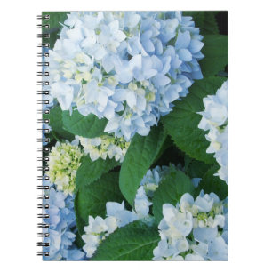 Hydrangea Flowers Notebook