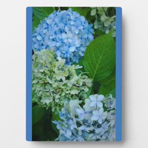 Hydrangea Flowers Plaque