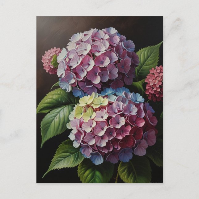 Hydrangea flowers postcard (Front)