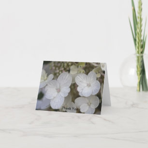 Hydrangea Flowers Thank You Card