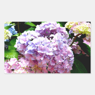 Hydrangea garden, pink, blue, purple floral rectangular sticker