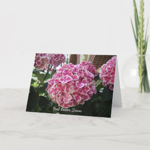 Hydrangea Get Well Card