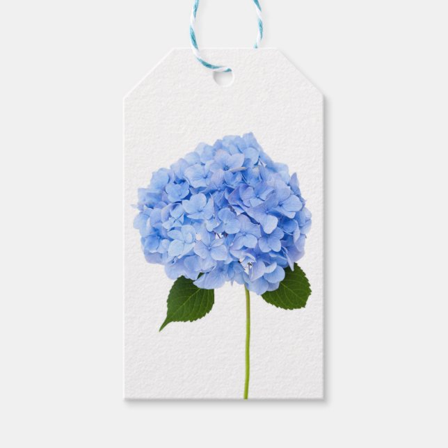 Hydrangea Gift Tags (Front)