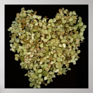 Hydrangea Heart Botanical Poster Lovely2