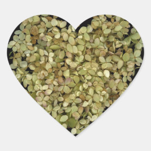 Hydrangea Heart Botanical Sticker Lovely2