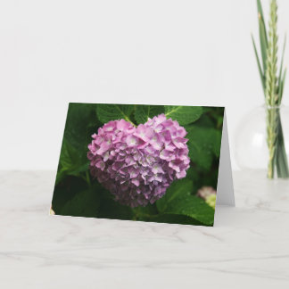 hydrangea heart card