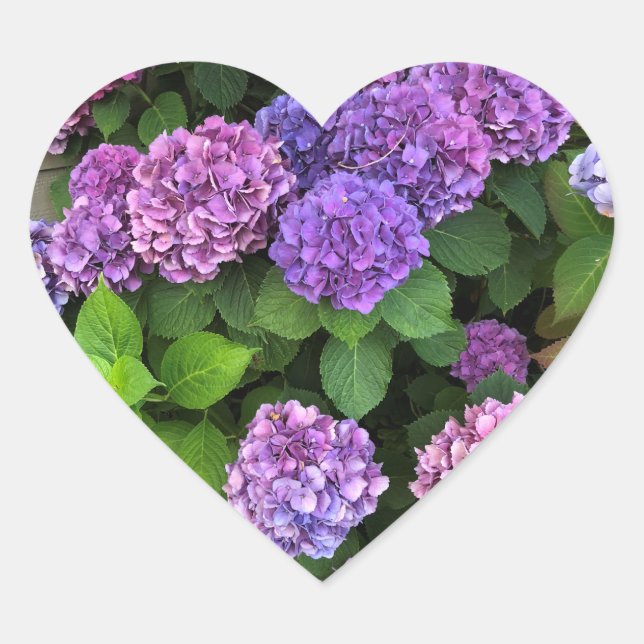Hydrangea Heart Stickers (Front)