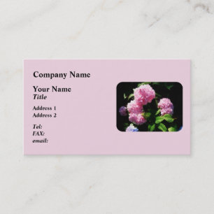 Hydrangea in Sunshine Business Card
