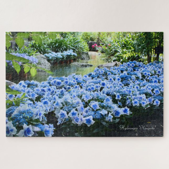 Hydrangea 'Konpeito' [Jigsaw puzzle: 1014P] Jigsaw Puzzle (Horizontal)