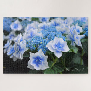 Hydrangea 'Konpeito' [Jigsaw puzzle: 1014P] Jigsaw Puzzle