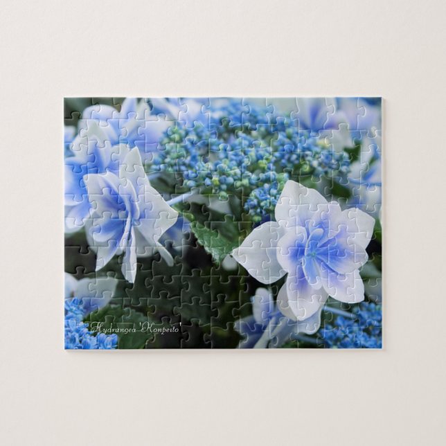 Hydrangea 'Konpeito' [Jigsaw puzzle: 110P] Jigsaw Puzzle (Horizontal)