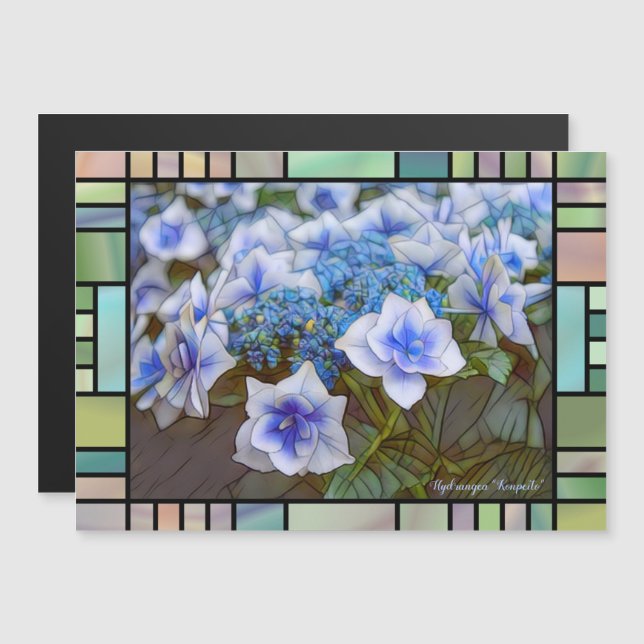 Hydrangea 'Konpeito'  [Magnet Card] (Front/Back)