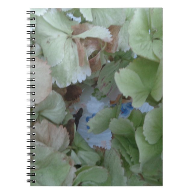 Hydrangea leaves notebook (Front)