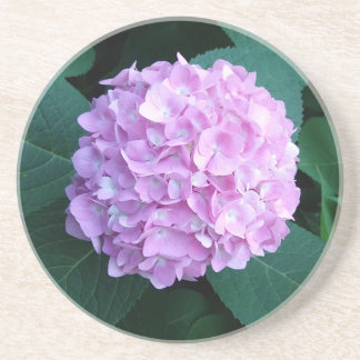 Hydrangea lovers coaster for your home